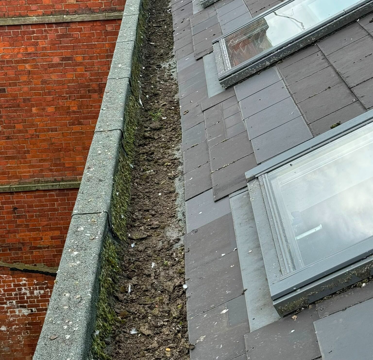 Before Professional gutter and fascia clean
